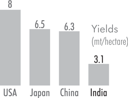 rice-graph