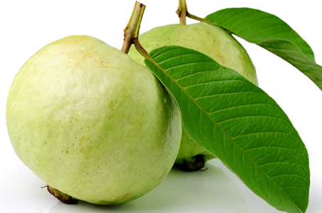 Guava